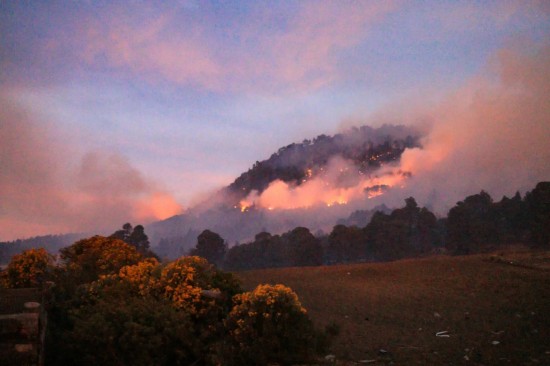 Incendios en Veracruz, crisis que ignora el gobierno de Cuitláhuac García; 8 mil hectáreas resultaron afectadas en el … – Gobernantes.com